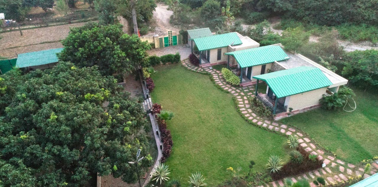 The Tiger Groove — Ramnagar