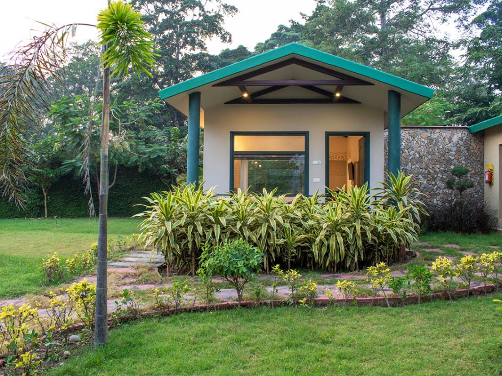 The Tiger Groove — Ramnagar