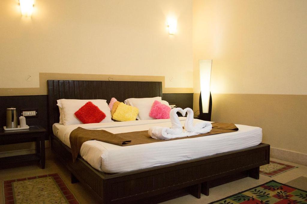 The Tiger Groove — Ramnagar